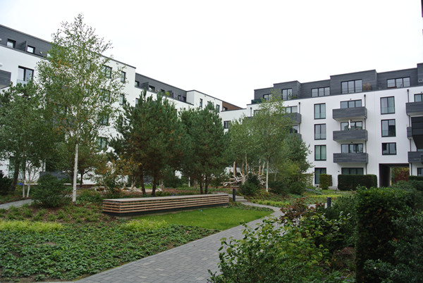 Bild DSC_2193.jpg