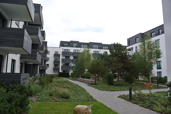 Bild DSC_2195.jpg
